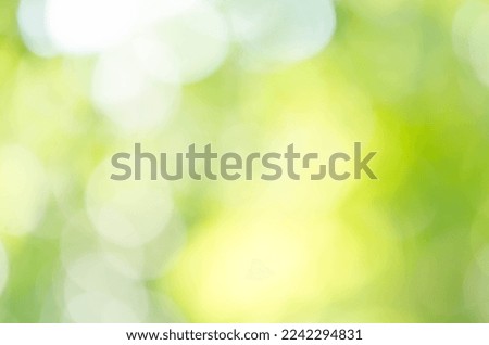 Abstract natural green bokeh background