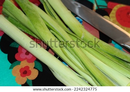 Vegetarian photo of healthy raw green leek organic vegetable washed, cleaned, prepared for chopping. knife with colorful patterned glass on cutting board