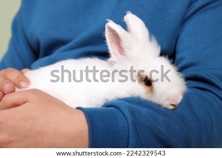 Man with fluffy white rabbit, closeup. Cute pet