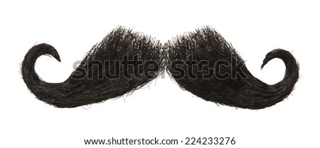 Dark Hairy Mustache Isolated on White Background. Royalty-Free Stock Photo #224233276
