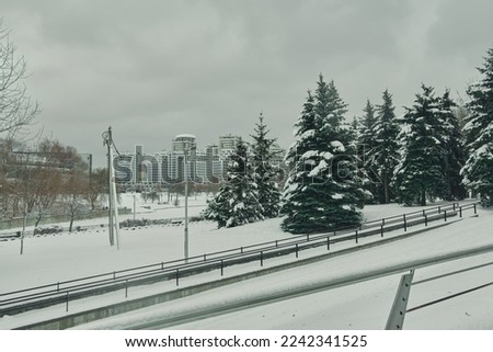 frosty forest snow-cowered fir and pine trees winter road background Christmas Scene