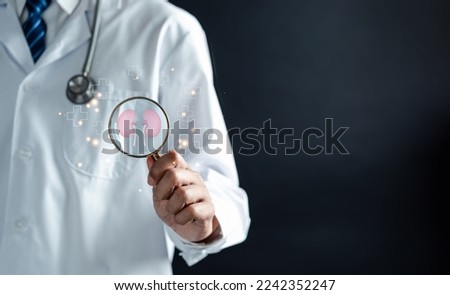 doctor in a white coat holding kidney organ, chronic kidney disease, renal failure, dialysis, Health checkup concept.	
 Royalty-Free Stock Photo #2242352247