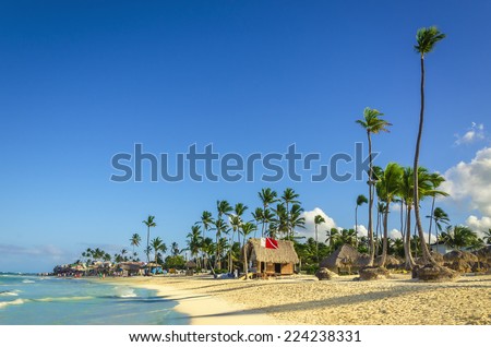 Deep blue sunrise landscape with tall palm tree on Dominican Republic, Caribbean Islands Royalty-Free Stock Photo #224238331