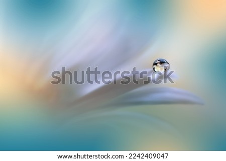Beautiful Macro Photo.Colorful Flowers.Art Design.Magic Light.Close up Photography.Conceptual Abstract Image.Green Background.Fantasy Floral Art.Creative Wallpaper.Beautiful Nature Background.Water.