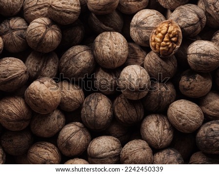 Walnut kernels and whole walnuts. Vertical