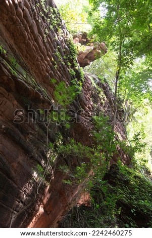 Naga cave, Amazing of Naga scales rock stone mountain in Phu Langka National Park, Bueng Kan of Thailand.
