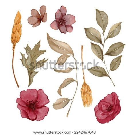 Watercolor autumn florals illustrations. Autumn branch, leaves, spikelets and flowers