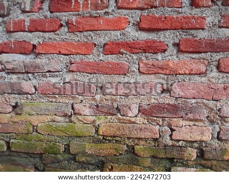 the mossy red brick wall of the house 