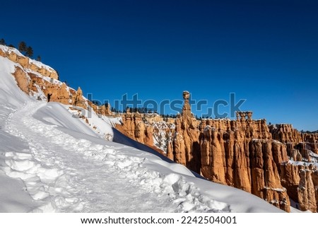 Beautiful landscape from winter Bryce Canyon National Park in Utah, USA