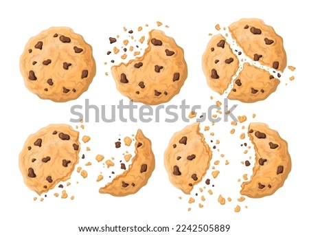 Vector realistic cartoon american cookies with chocolate chips. Bitten and broken american cookies of different size with crumbles. Pastry sweet food illustration