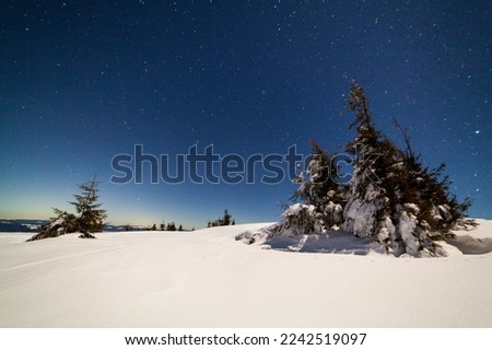 Magical winter landscape with snow covered tree. Vibrant night sky with stars and nebula and galaxy. Deep sky astrophoto