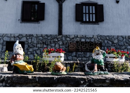 Garden dwarfs and a frog with a floral background and a wall.