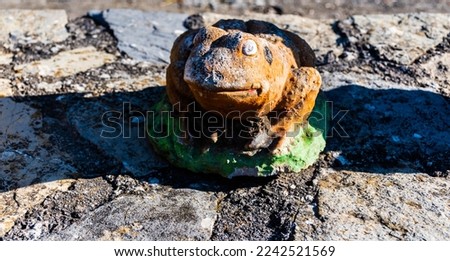 Frog with orange and green colors sitting on a concrete pavement.