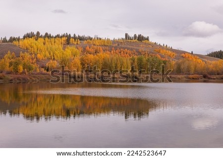 Scenic Autumn landscape in Grand Teton National Park Wyoming