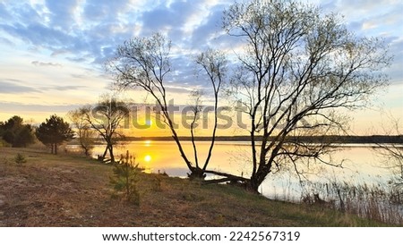 The sun rising over the forest on the far shore of the lake shines through the clouds. Grass, pines, and willows grow on the shore, and reeds stand in the water. The colorful sky Royalty-Free Stock Photo #2242567319