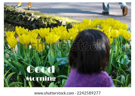 This image is an e-greeting card to wish the recipient "Good Morning". It has a scene of yellow tulips which represent happiness, cheerfulness and hope. Tulips were sighted in the Keukenhof Gardens.