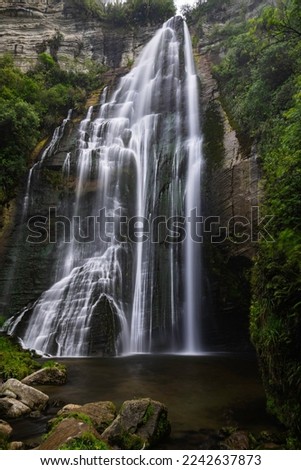 Shine Falls, North Island, New Zealand