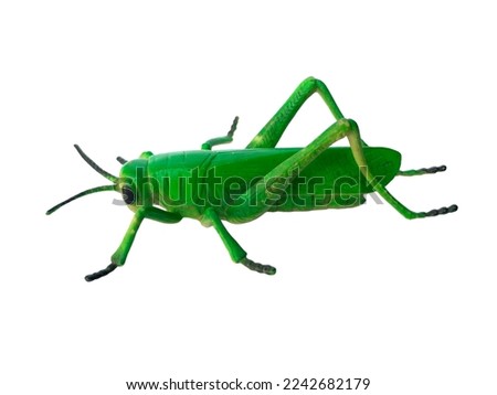 plastic grasshopper toy isolated on white background