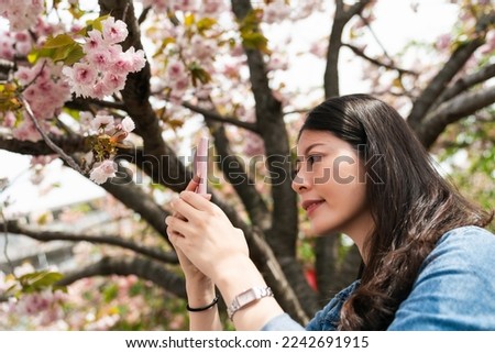 closeup of asian girl traveler taking pictures of pink cherry blossom with her smartphone in the garden of mint museum at springtime in Osaka, japan