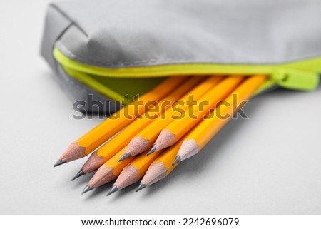Many sharp pencils in pencil case on light grey background, closeup