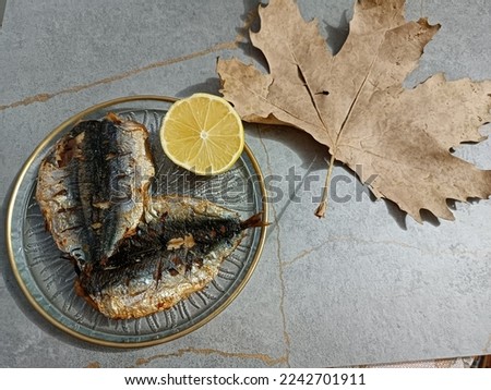 grilled fish mackerel fish plate