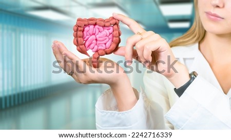 Model of intestinal tract of hand of doctor gastroenterologist. Girl shows miniature intestinal tract. Taking care of digestive system. Concept of treatment of intestinal tract. Human intestine Royalty-Free Stock Photo #2242716339