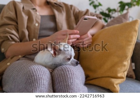 Small dog sitting on lap of woman using vet app on phone.
