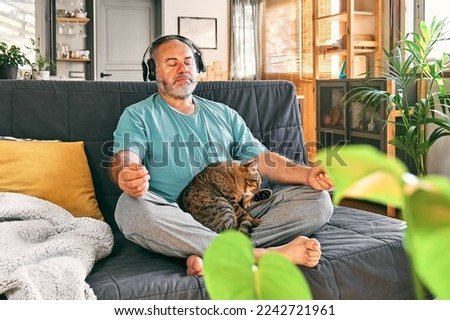 Mature middle-aged overweight man in wireless headphones relaxing at home with his cat and guided meditation, listening to relaxing music on smartphone and meditating in lotus pose.