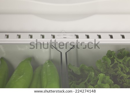 fresh vegetables in the fridge