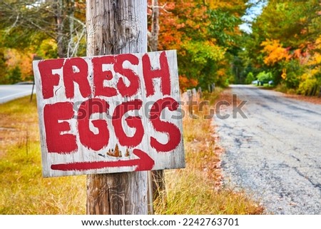 Red painted Fresh Eggs sign with arrow leading down gravel country road in fall foliage