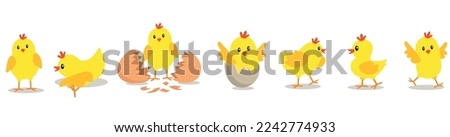 Chicken hatching from the egg. Cartoon baby chick birthday step-by-step process. Funny and educational illustration for kids.