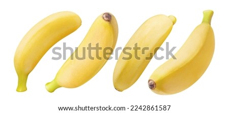Set of baby bananas, isolated on white background Royalty-Free Stock Photo #2242861587
