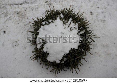 Snow is placed on top of a tree and forms a star.
