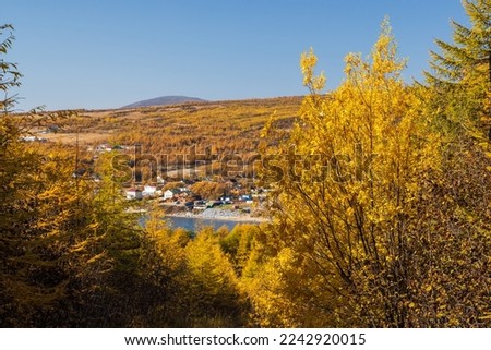 Autumn rural landscape. View of bushes and trees with yellow crowns. In the distance on the seashore on the hill of the house. Autumn season. Shallow depth of field and blurry background.