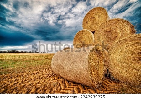 A stack of golden hay bales in a Tennessee farmer's field are about to get wet as a spring thunderstorm rolls in..