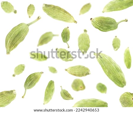 Levitate cardamom pods isolated on a white background. Cardamom pods collection. Royalty-Free Stock Photo #2242940653