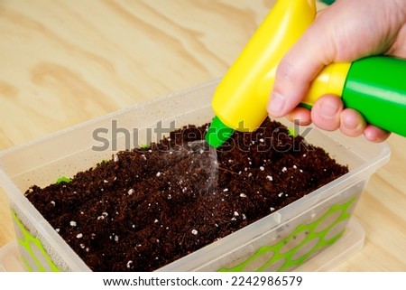 Woman spraying with water seed starting mix for sowing. Royalty-Free Stock Photo #2242986579