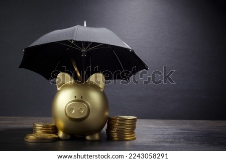 Piggy bank with umbrella concept for safe investment or banking