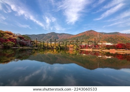 Autumnal view of maple trees with reflection on reservoir at Naesumyeone Environmental Ecological Park of Jinhae-gu near Changwon-si, South Korea
 Royalty-Free Stock Photo #2243060533