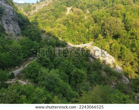 Nature composition at Greece, route and journey amidst the big tree and beautiful nature