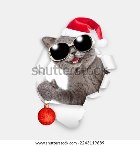 Smiling cat wearing sunglasses and red santa hat holding a Christmas tree toy and looking through a hole in white paper 