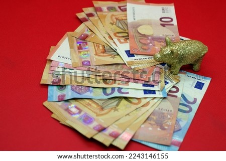 Symbol picture wealth: Golden lucky pig in the middle of banknotes