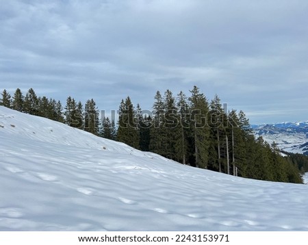 Late autumn atmosphe with the first snow on the mixed trees in the alpine area of the Alpstein mountain massif, Urnäsch (Urnaesch or Urnasch) - Canton of Appenzell Innerrhoden, Switzerland (Schweiz)