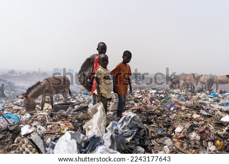 Three African street kids standing in a steaming dump amid donkeys looking for recyclable items to sell Royalty-Free Stock Photo #2243177643