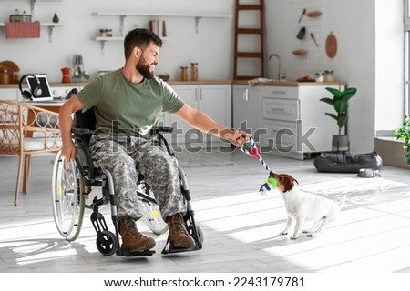 Young soldier in wheelchair playing with dog at home Royalty-Free Stock Photo #2243179781