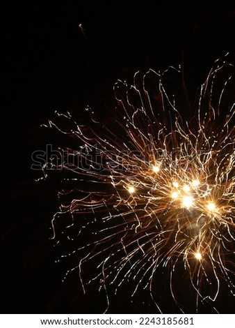 Fireworks display during New Year's Eve, Poland 2021
