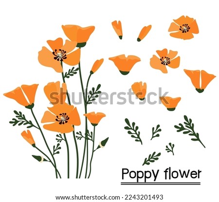 California poppy background.Eps 10 vector. Royalty-Free Stock Photo #2243201493