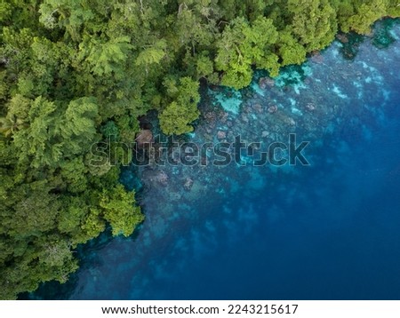 Lush jungle on a remote tropical island is fringed by a coral reef in the Solomon Islands. This beautiful country is home to spectacular marine biodiversity and many historic WWII sites. Royalty-Free Stock Photo #2243215617