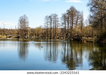 Landscape with large old trees near the lake in Tineretului Park (Parcul Tineretului) in Bucharest, Romania, in a sunny winter day