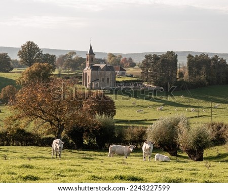Wonderful landscape photography in France. landscape photo in Burgundy. landscape photo in the Nievre. Meadow with Church with sun. 58 in France